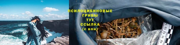 гидра Беломорск