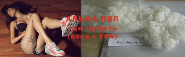 spice Белокуриха