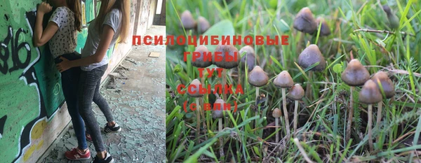 spice Белокуриха