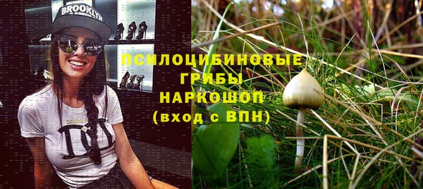 гидра Беломорск