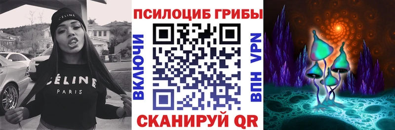 купить   Светогорск  Галлюциногенные грибы Cubensis 